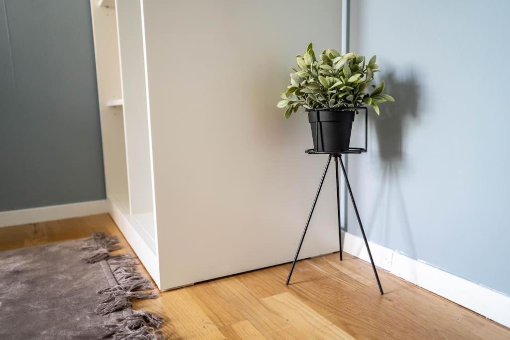 The Green House Of Stavanger Bnb 14 -Central, Sauna And Airport Shuttle מראה חיצוני תמונה