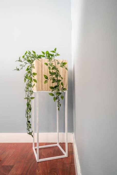 The Green House Of Stavanger Bnb 14 -Central, Sauna And Airport Shuttle מראה חיצוני תמונה